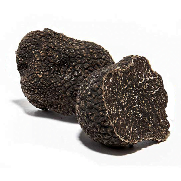 winter black truffle